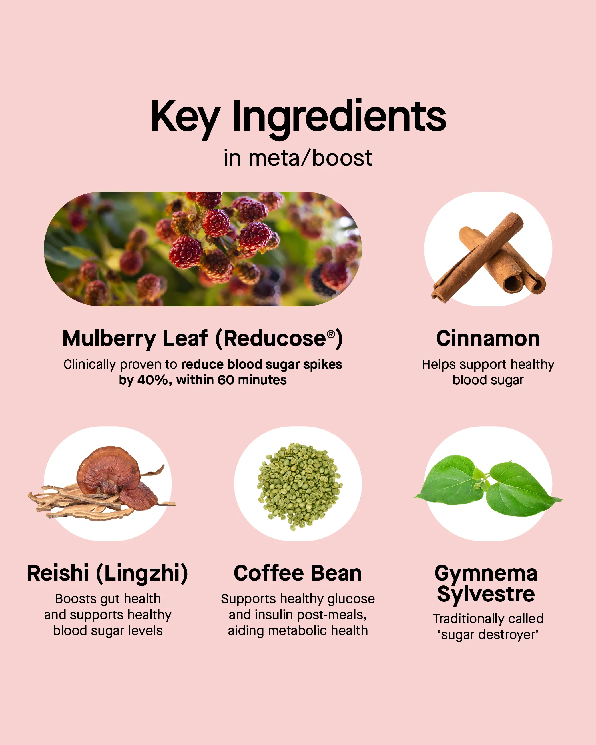 meta/boost- Botanical Beverage Mix Mulberry Leaf with Cinnamon Extract